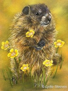 Critter Squares - Wee Justin CP e-Packet